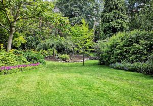 Optimiser l'expérience du jardin à Châtel